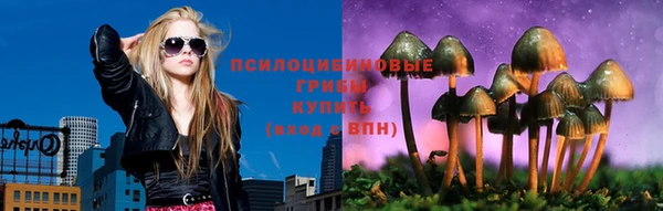 тгк Алексеевка