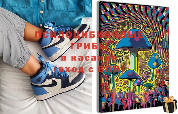 прущая мука Алзамай