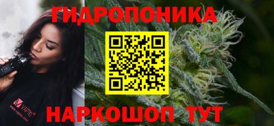 крисы Мариинск