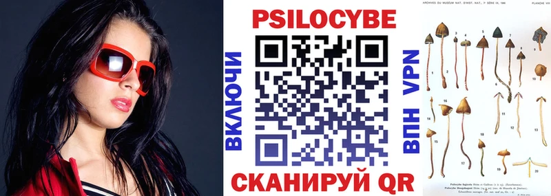 ссылка на мегу ONION Волгоград Галлюциногенные грибы Cubensis