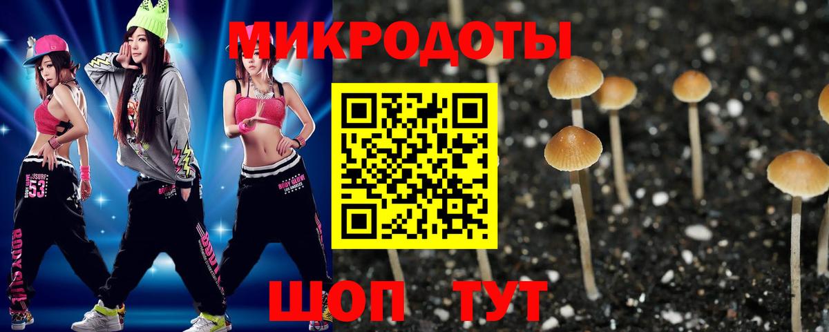 Псилоцибиновые грибы Magic Shrooms Волгоград