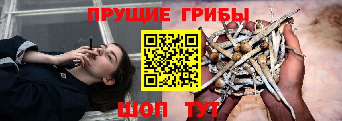 Волгоград  Галлюциногенные грибы ЛСД  Вход с VPN 